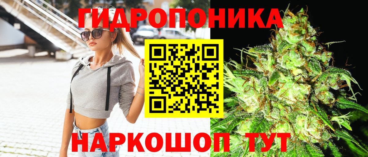 Конопля ГИДРОПОН  Конопля Ganja  Вход с VPN  МАРИХУАНА White Widow  Уссурийск 